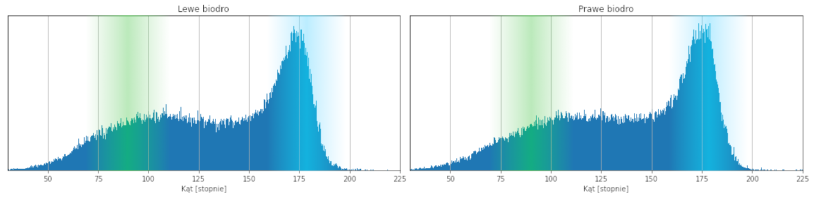 Sumo squat - rozkład kątów